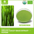 HACCP factory Premium Quality superfood  barley grass powder organic